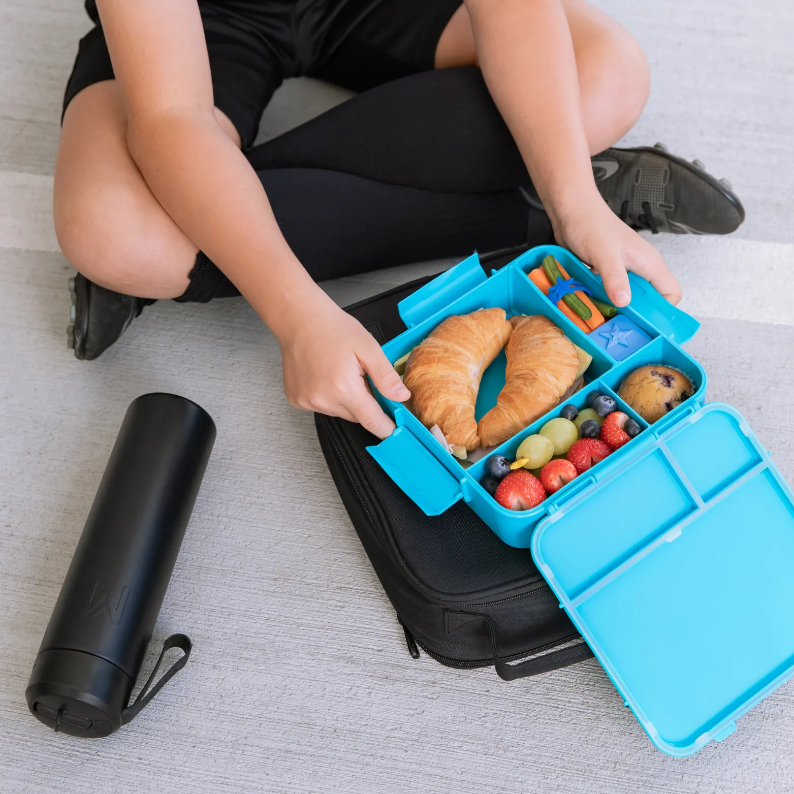 Montii.Co Bento Plus - Coastal